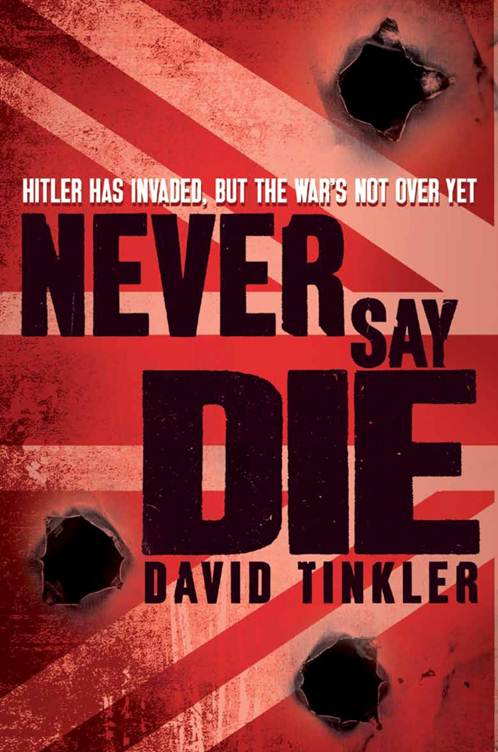 Never Say Die cover-1.jpg